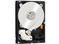 WD1001FYYG [1TB 7200 SAS2.0] 