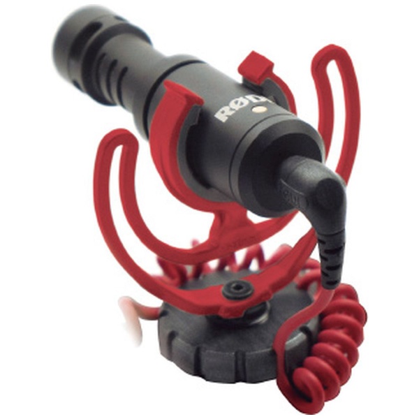 VideoMicro 