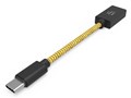 iFi Audiophile OTG Type-C [0.12m] 