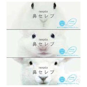 ティッシュペーパー