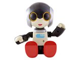 ロボット